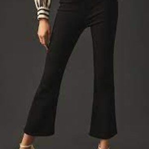 FRAME Jetset Crop Mini Boot Jeans in Sheen Noir Size 2 (fits size 30-34)